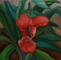 Calla 3