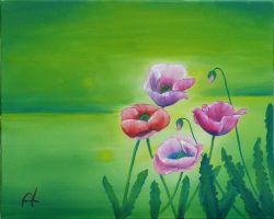 Mohn grün