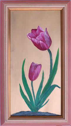 Tulpe 2