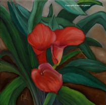 Calla 3
