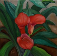 Calla 3