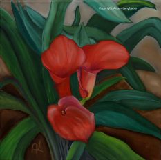 Calla 3