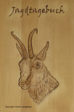 Gamsbock