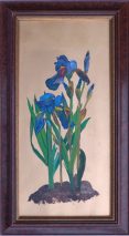 Iris