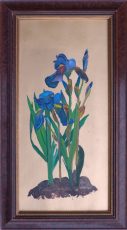 Iris