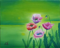 Mohn grün