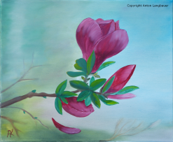Magnolie