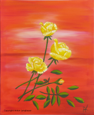 Rosen gelb