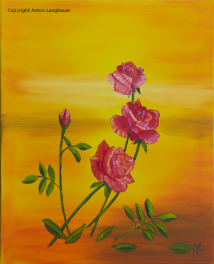 Rosen rot